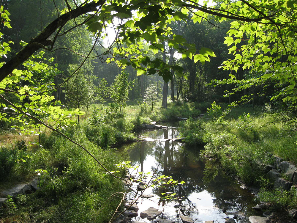 Northen Virginia Stream Restoration