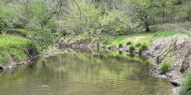 Wetland & Stream Mitigation Solutions