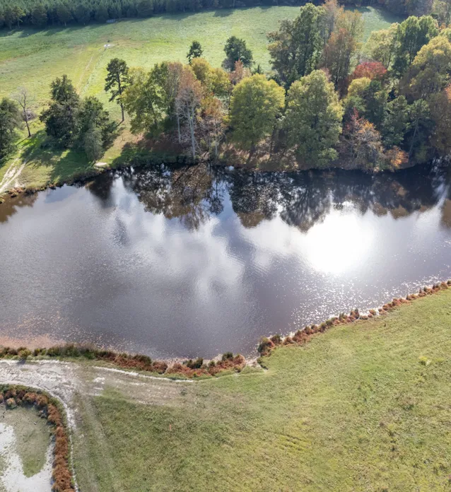 Field With Pond