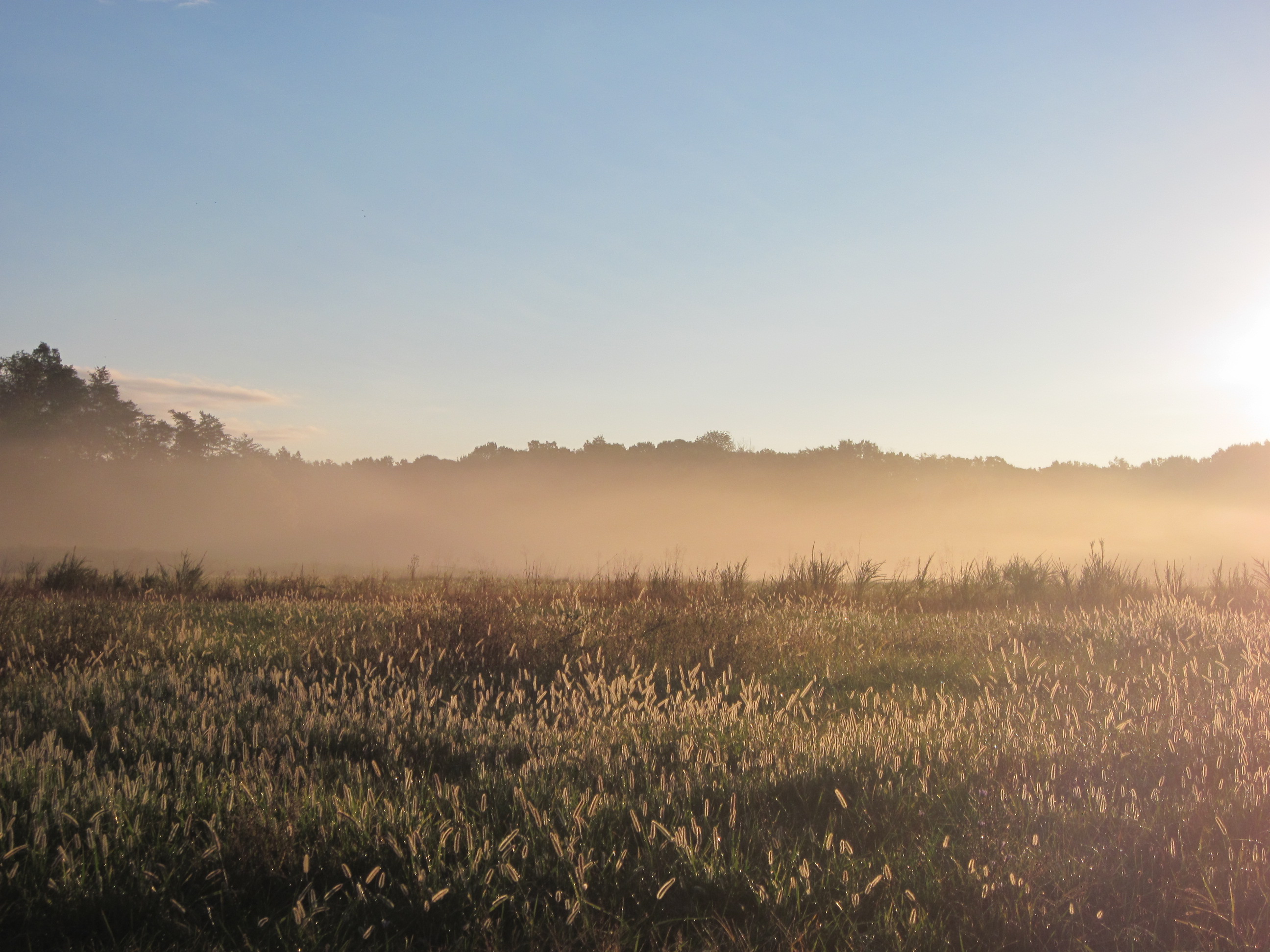 Mitigation Landowner Partnerships