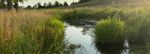 Glenmore2