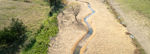 Overhead Field With Stream (1)