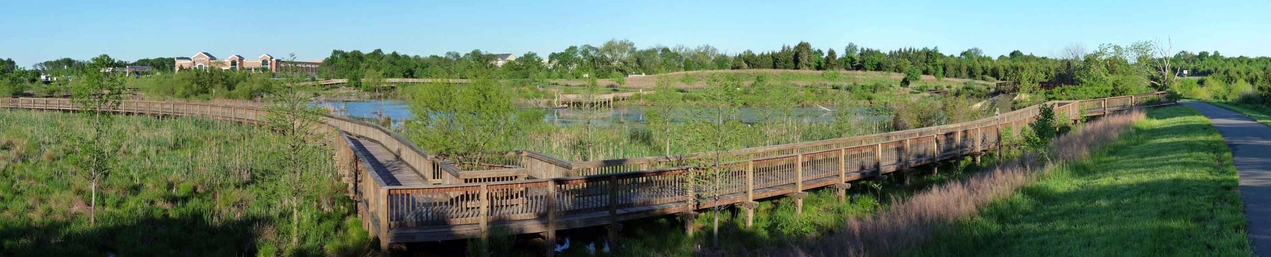 Mitigation Custom Solutions