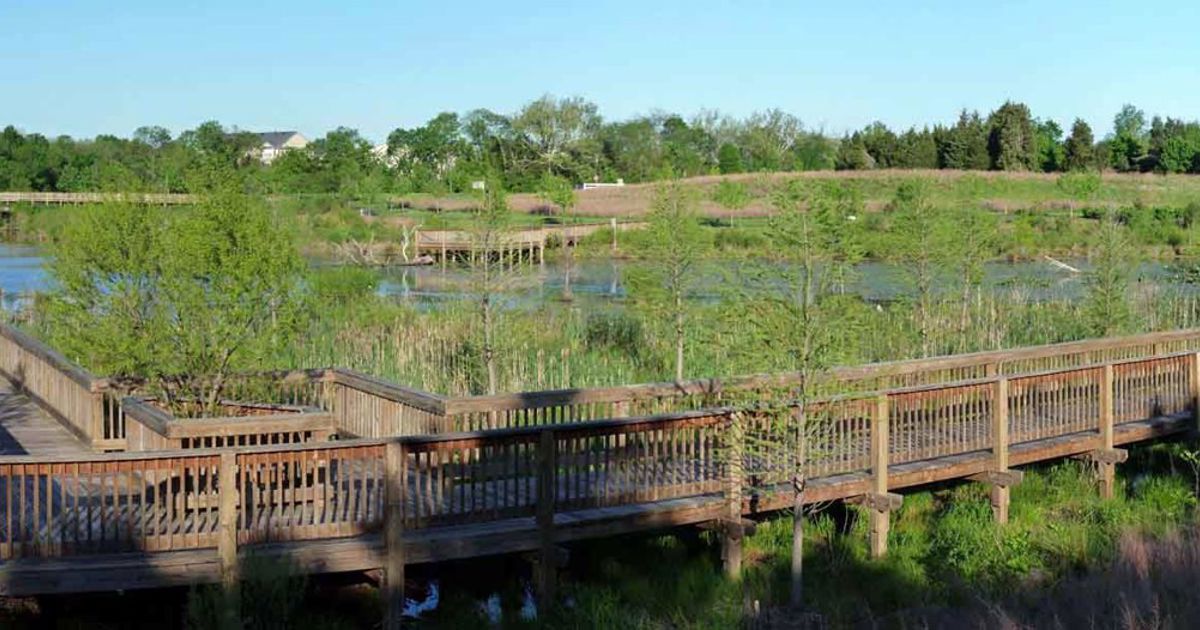 Wetland & Stream Mitigation Solutions