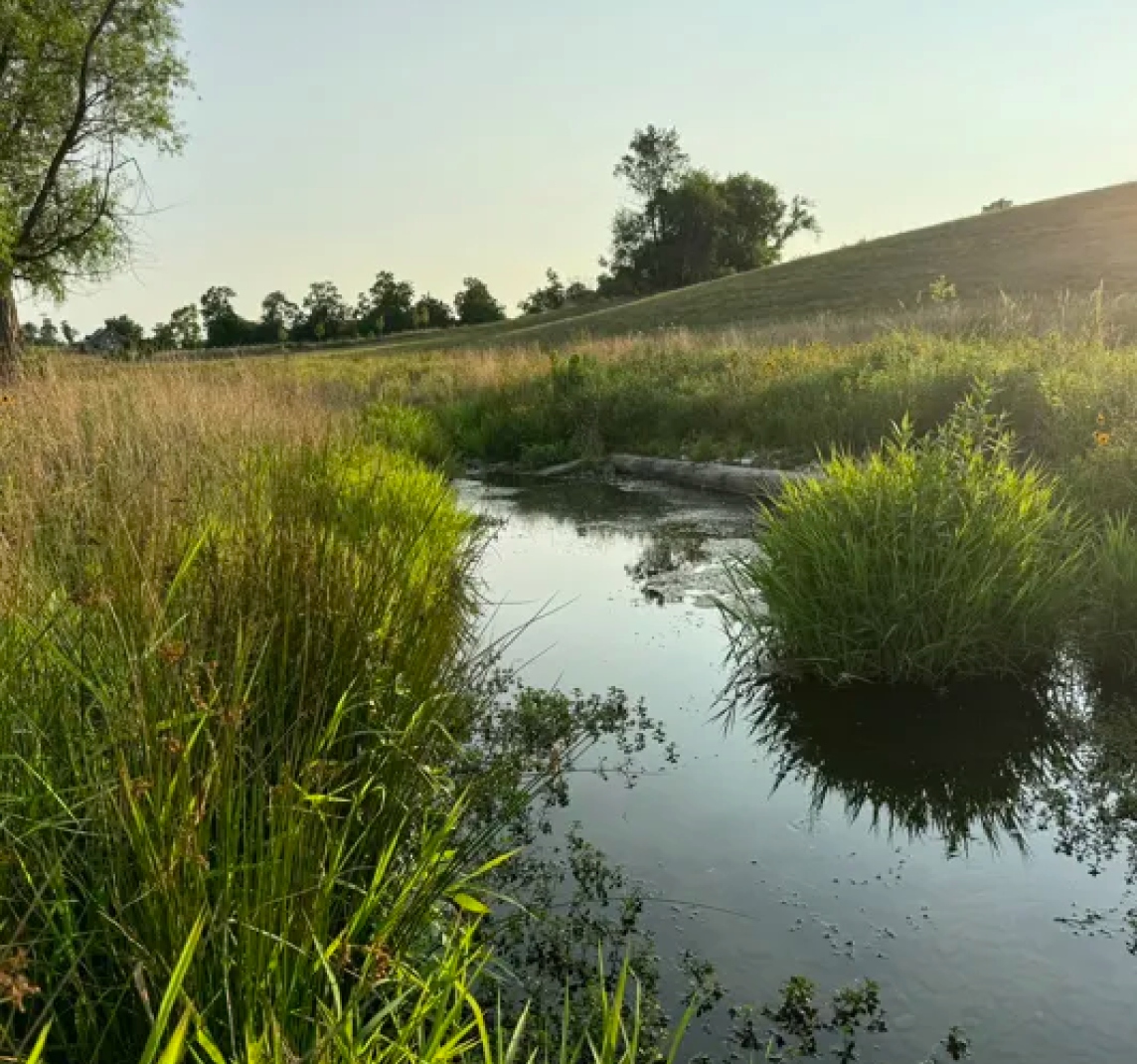 Hillside Pond
