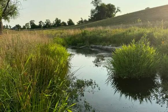 Hillside Pond