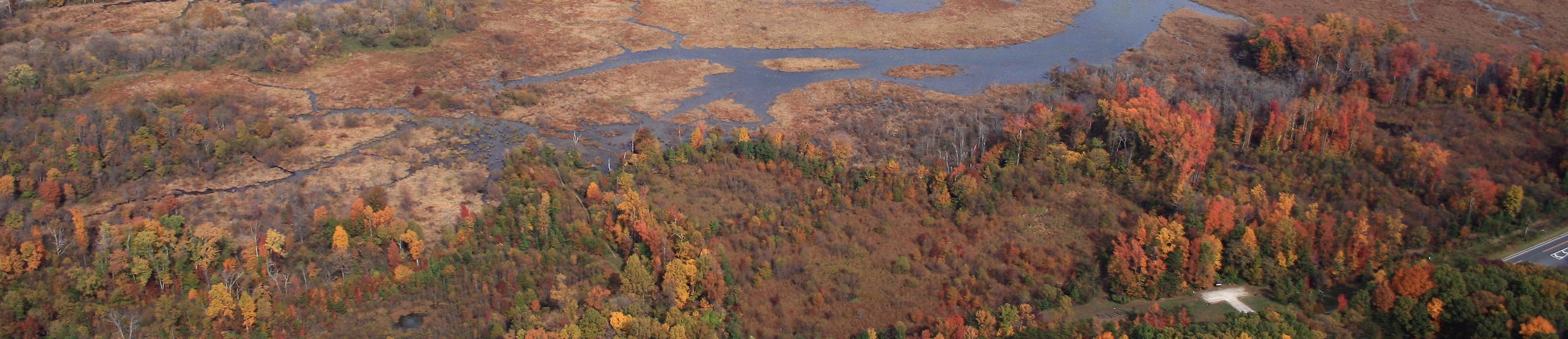 Stream And Wetland Sollog10