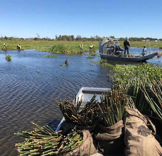 Photo Oct 25 11 56 36 AM