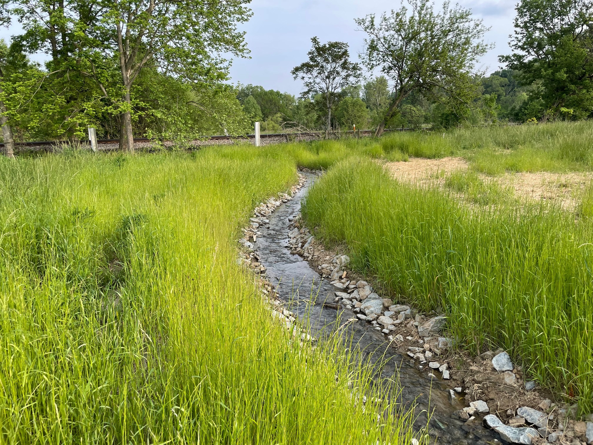 Blackpond