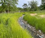 Blackpond