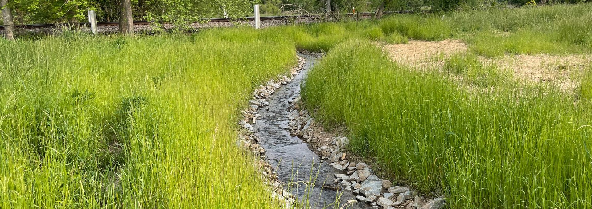 Blackpond