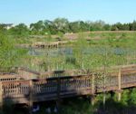 Broadlands1 1