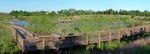 Broadlands1 1