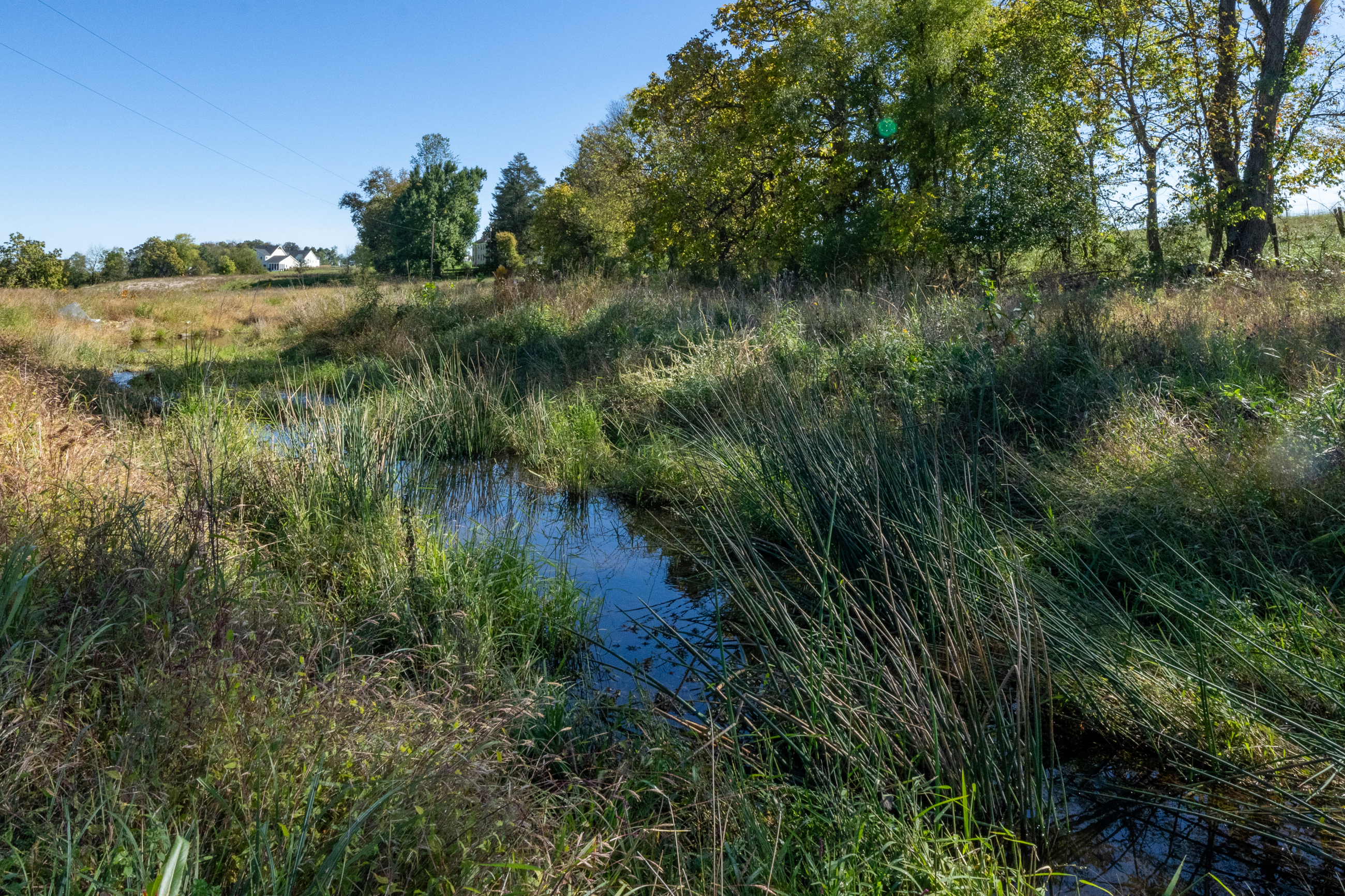 Field With Drainage Water Area
