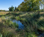 Field With Drainage Water Area