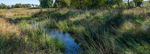Field With Drainage Water Area