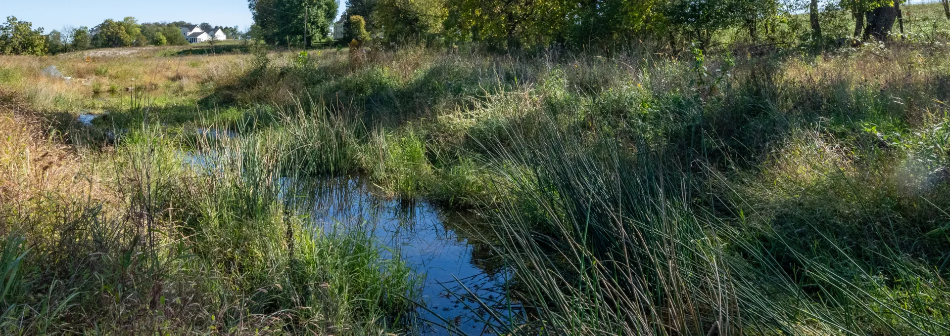 Field With Drainage Water Area