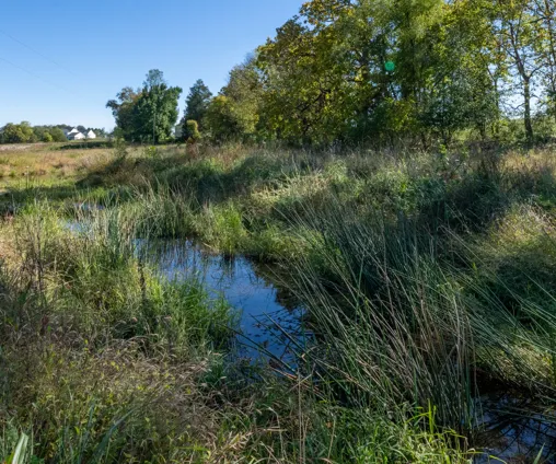 Field With Drainage Water Area